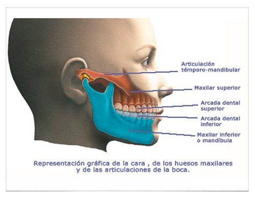 Oclusion y ATM